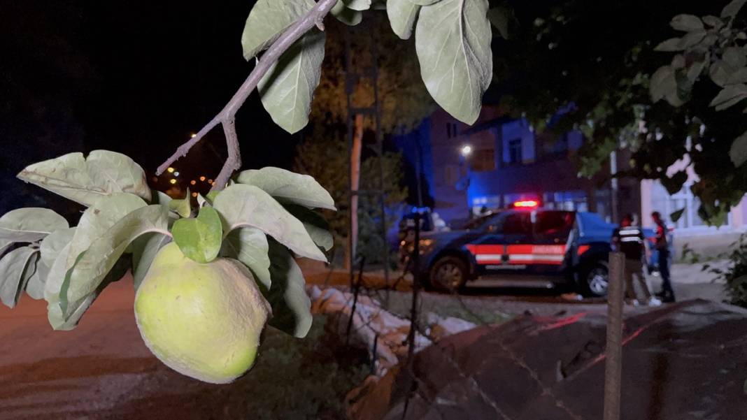 Ağacın dalını kestiği için amcasını öldürdü! 4